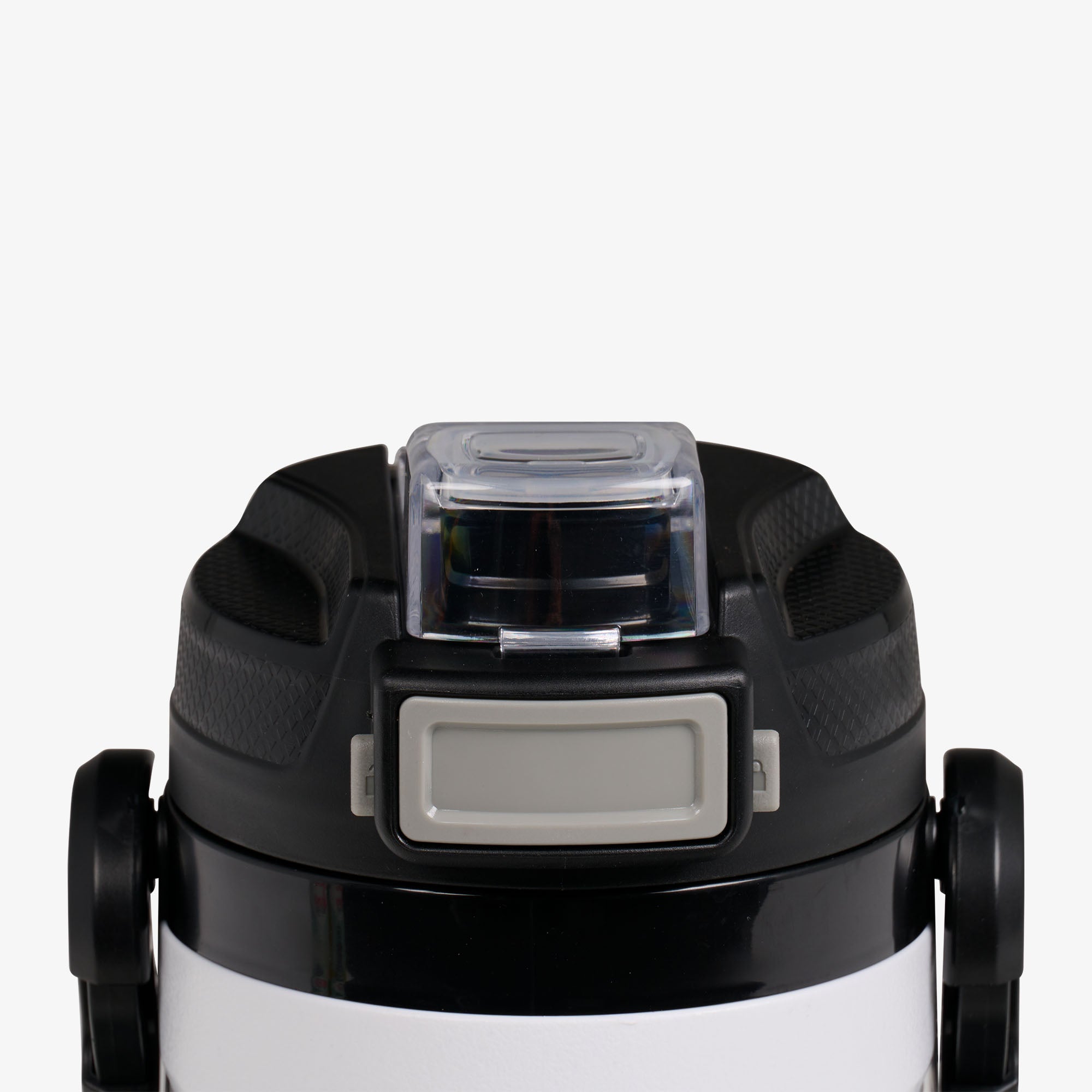 00031542-L.jpg